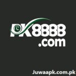 PK8888 Game