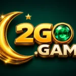 2GO Game